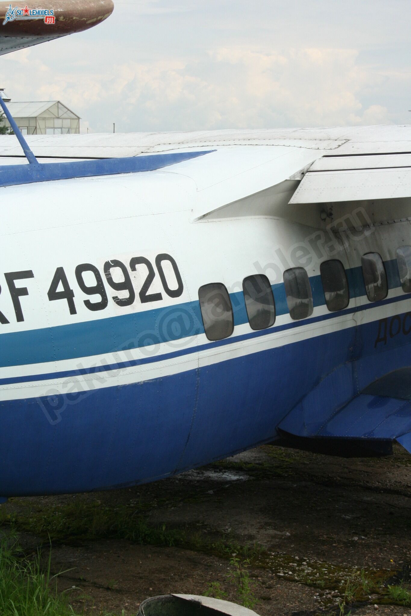 57.jpg