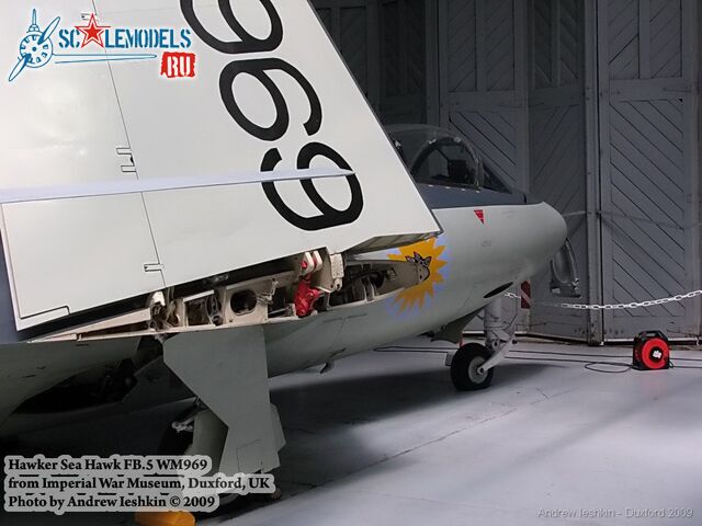 seahawk_iwm_1.jpg
