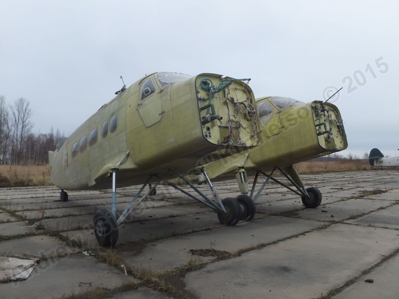 T-101_Grach_0011.jpg