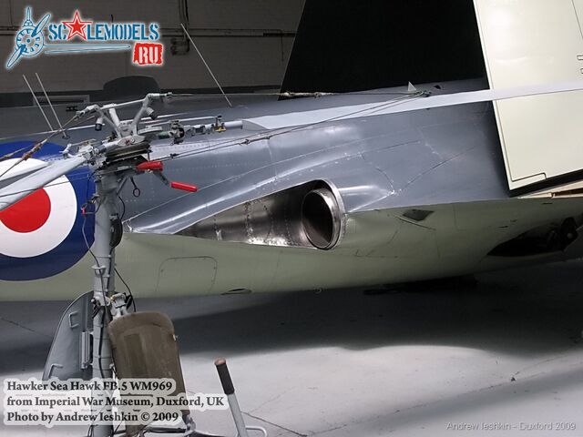 seahawk_iwm_2.jpg