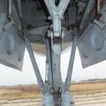 Il-14T_0070.jpg
