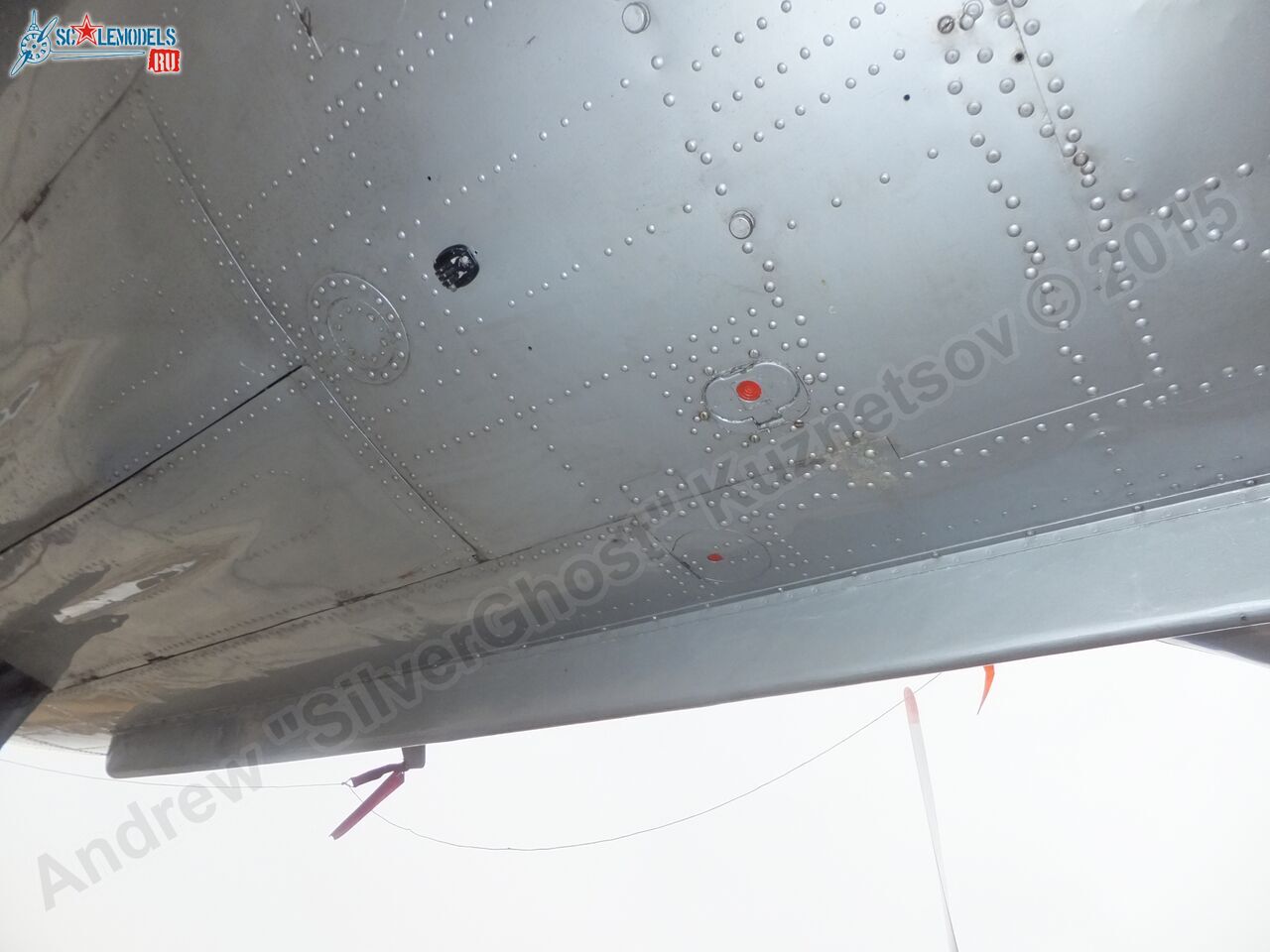 Il-14T_0120.jpg