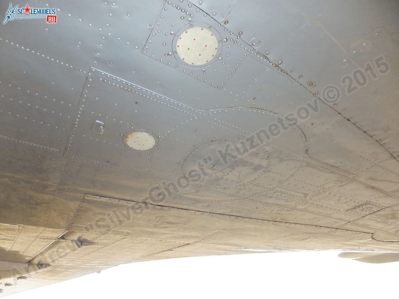 Il-14T_0137.jpg