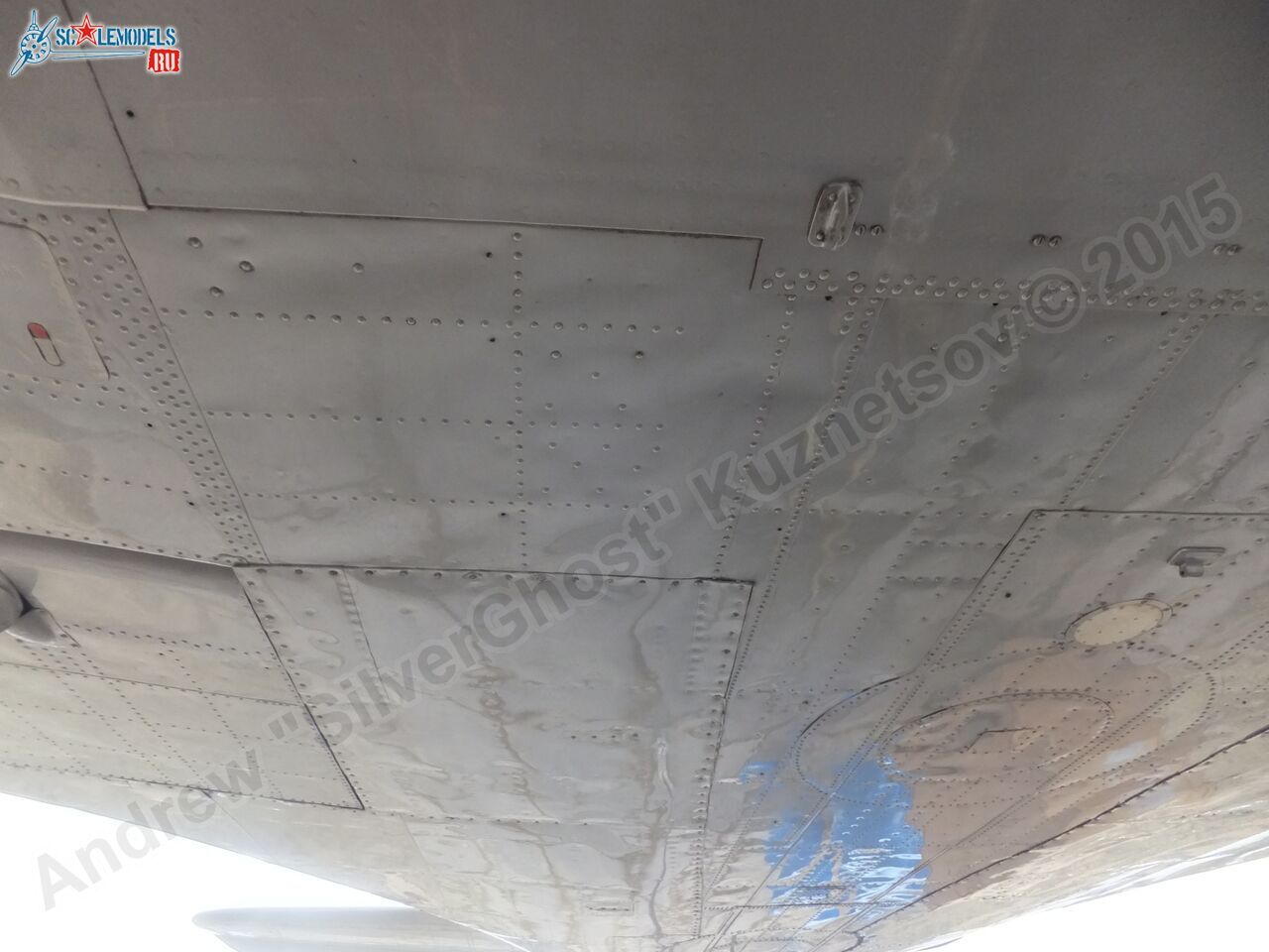Il-14T_0148.jpg