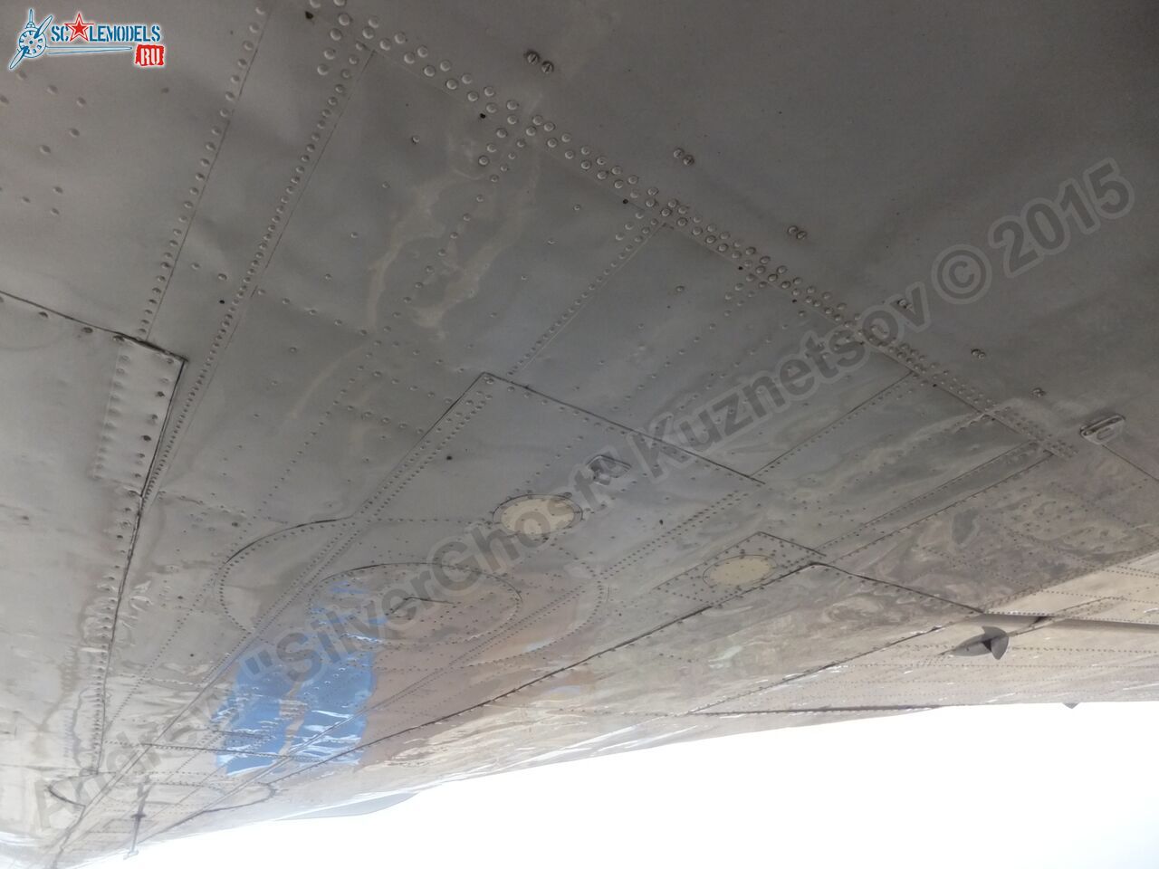 Il-14T_0149.jpg