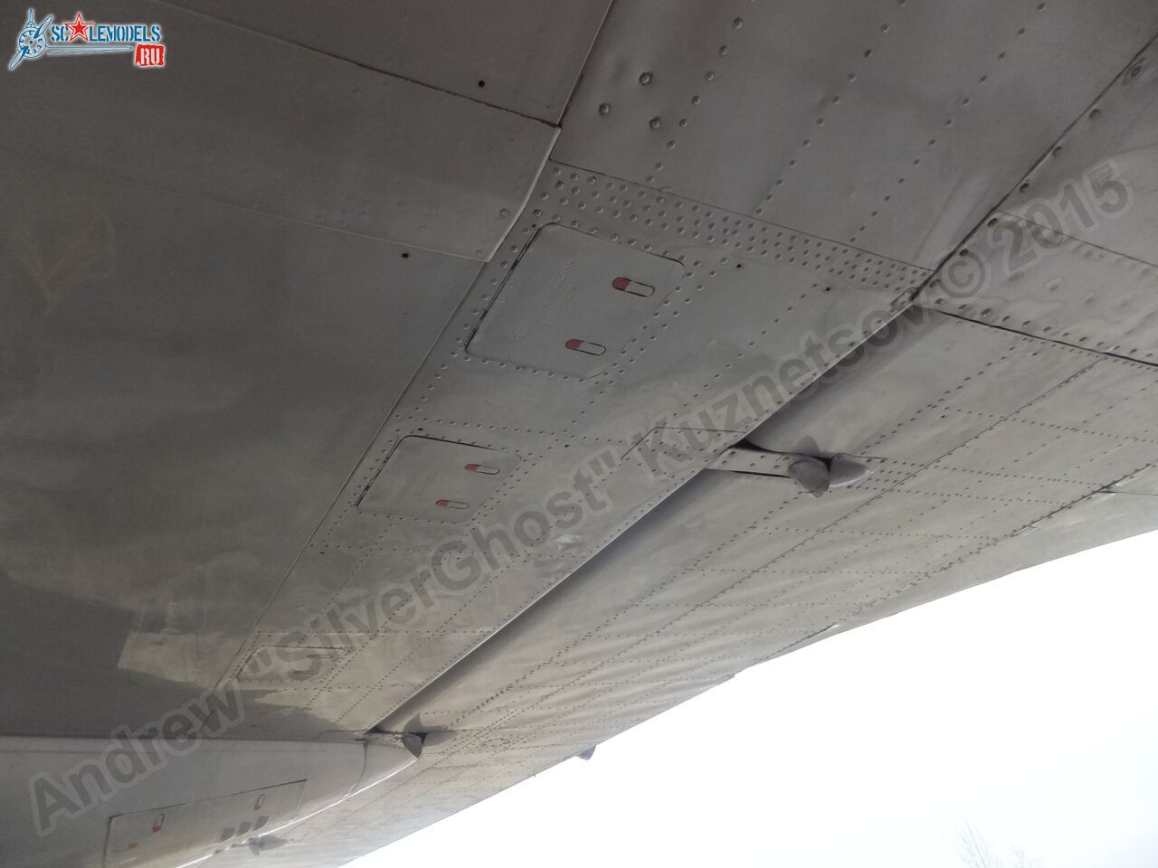 Il-14T_0151.jpg