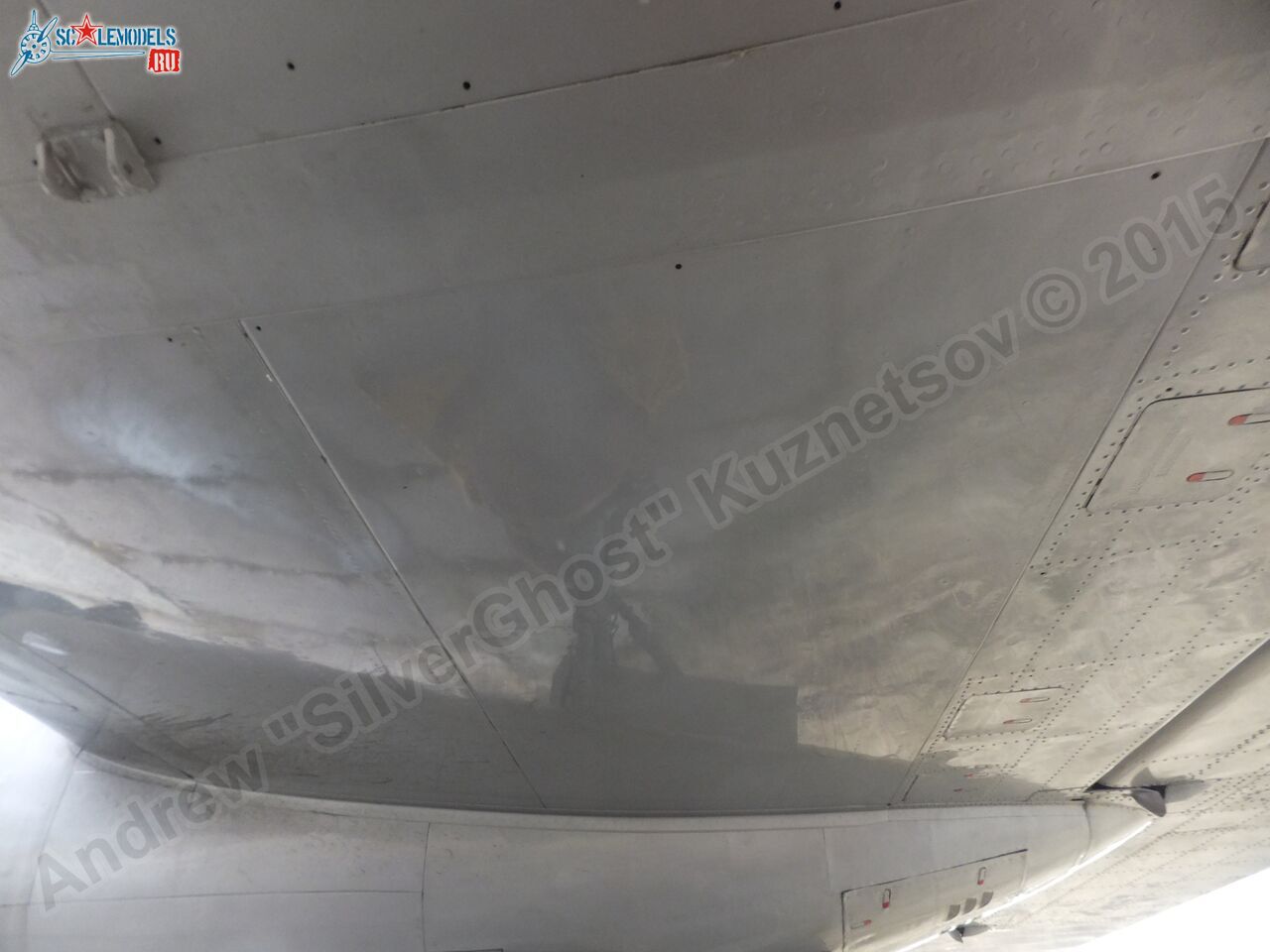 Il-14T_0152.jpg