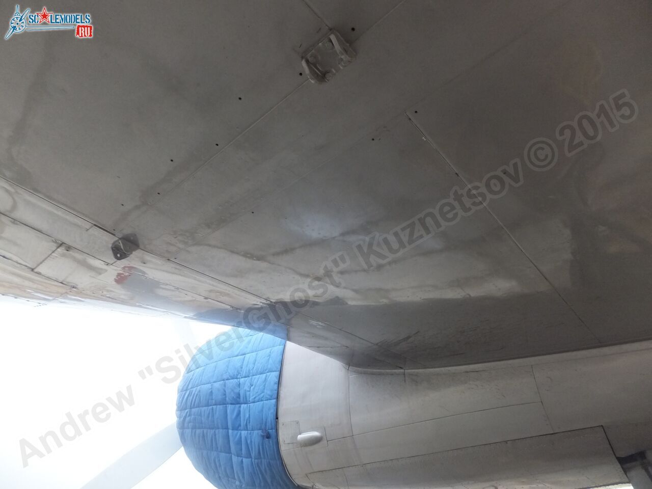 Il-14T_0153.jpg