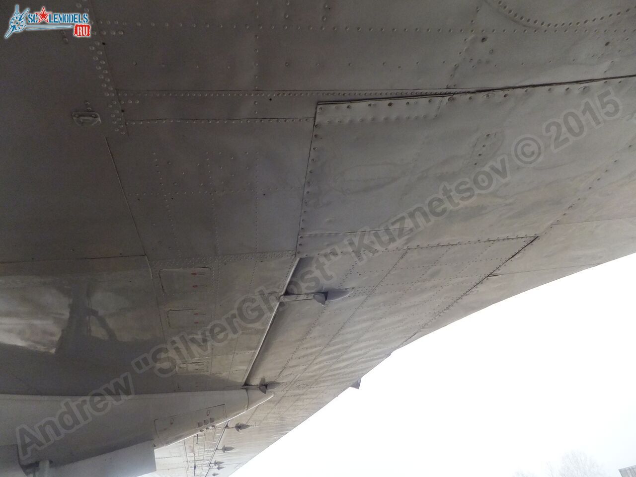 Il-14T_0159.jpg