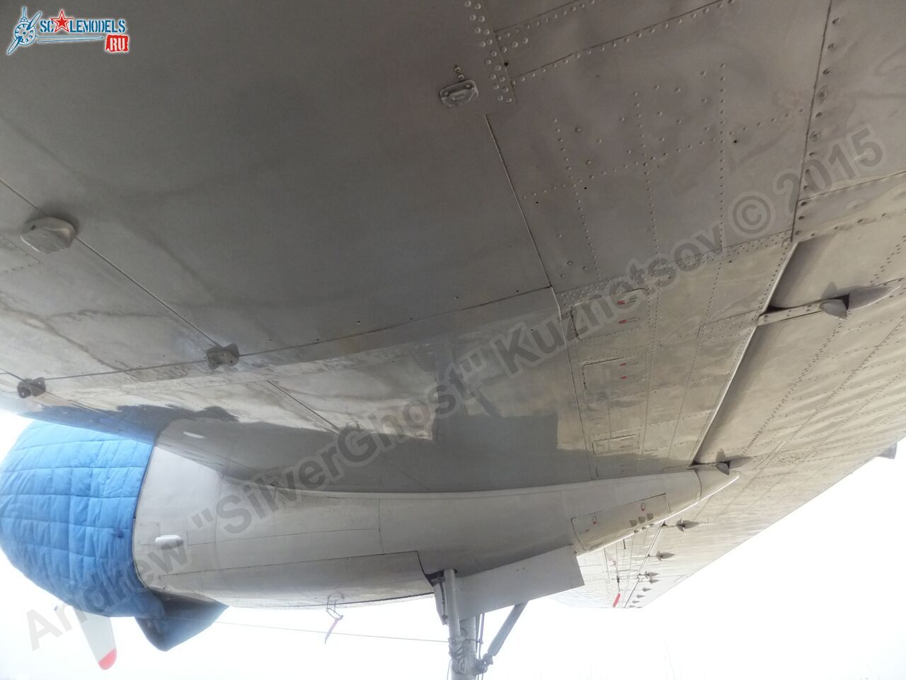 Il-14T_0160.jpg