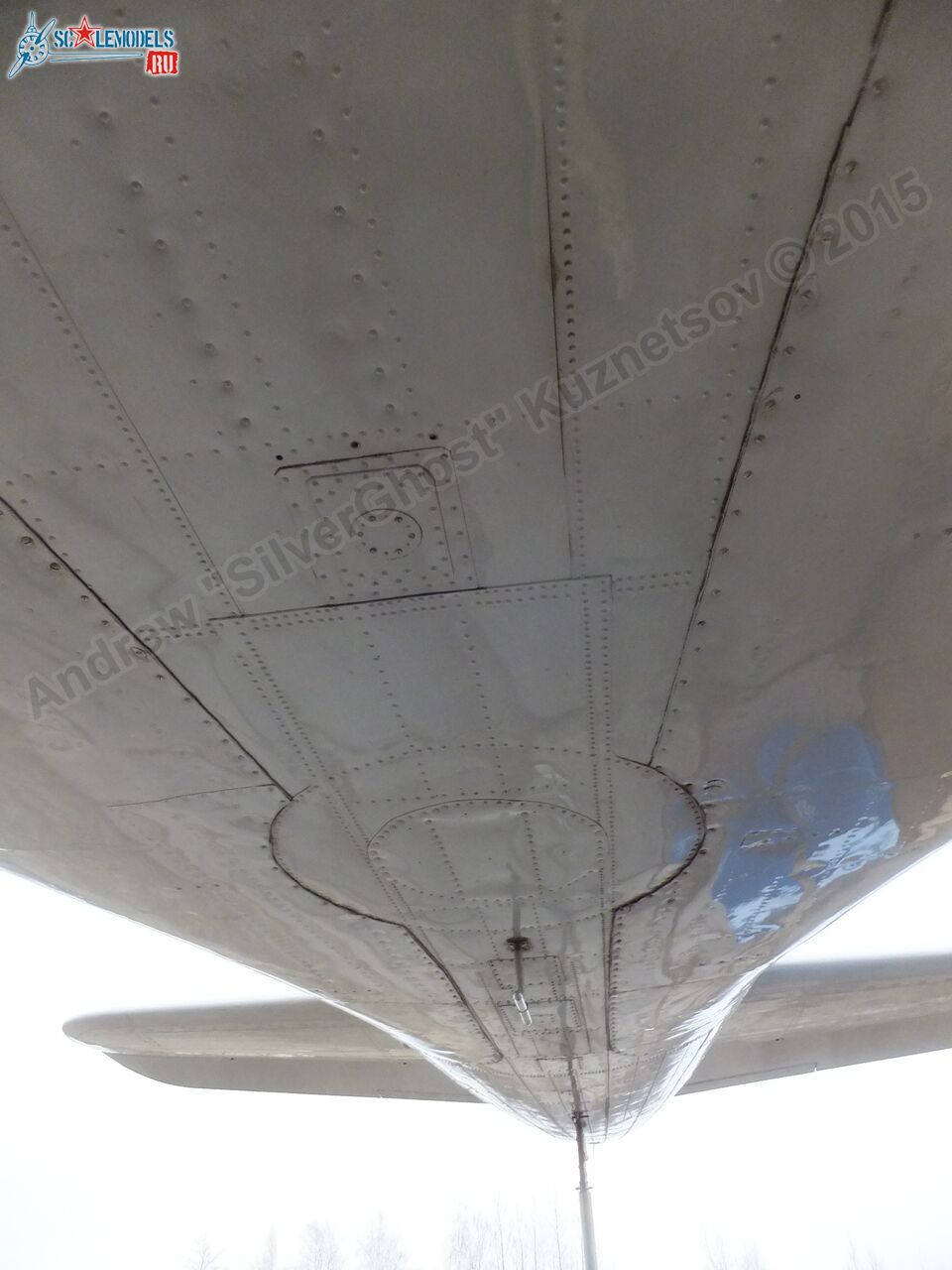 Il-14T_0161.jpg