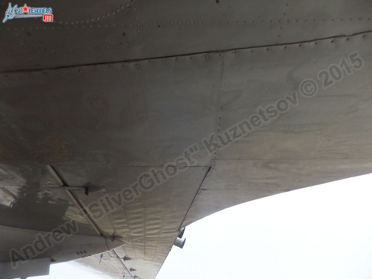 Il-14T_0162.jpg