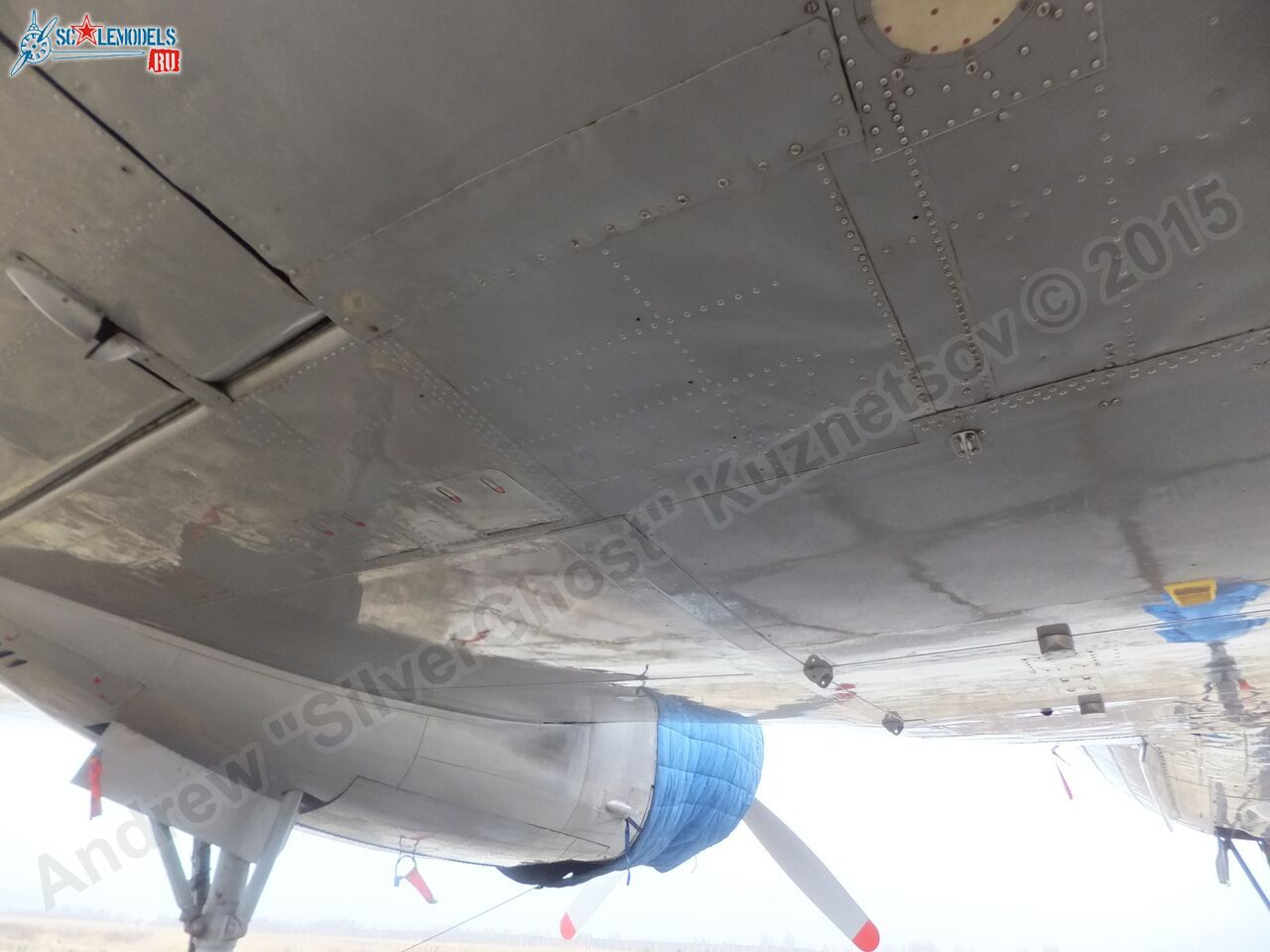 Il-14T_0164.jpg