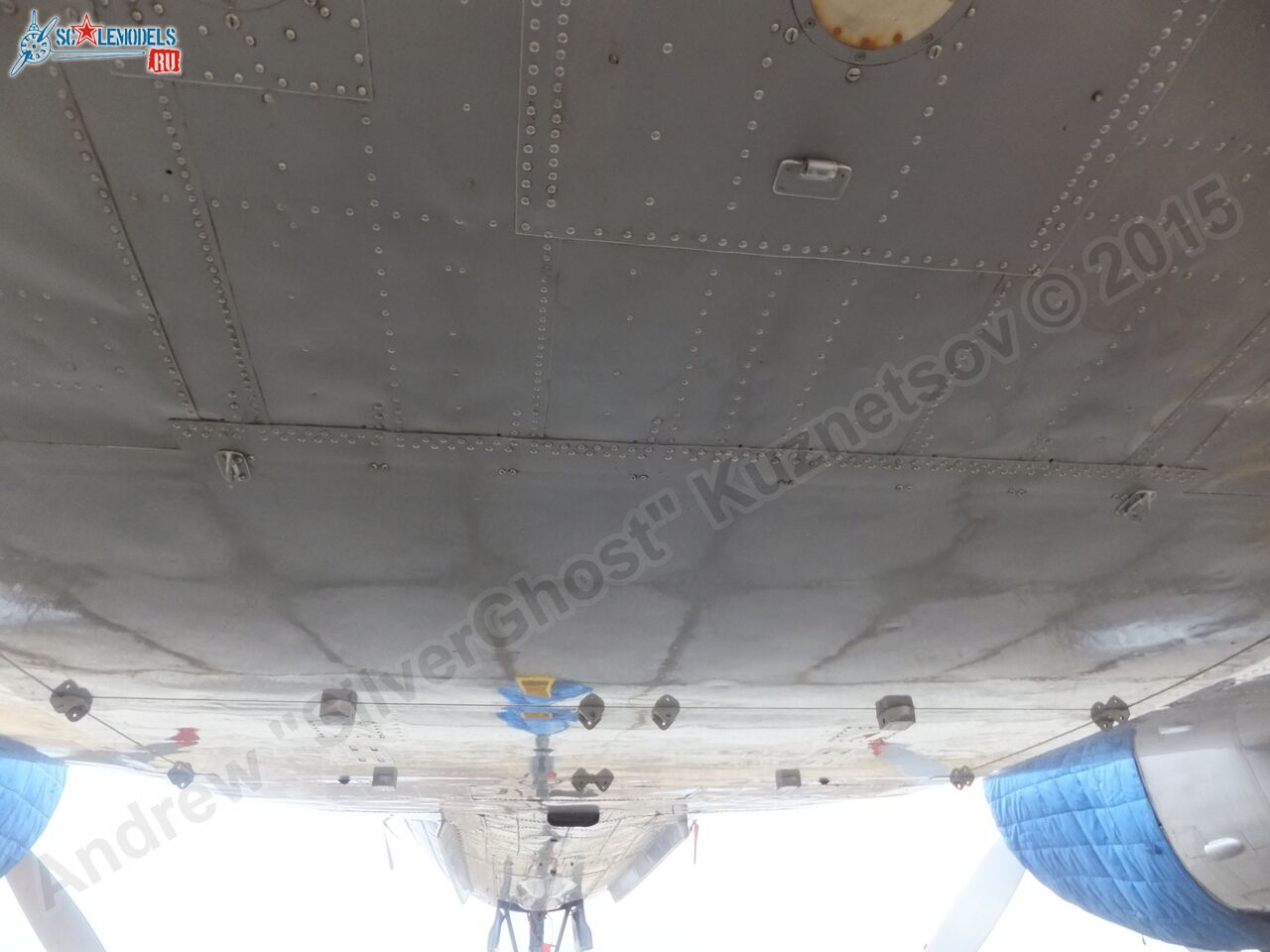 Il-14T_0165.jpg