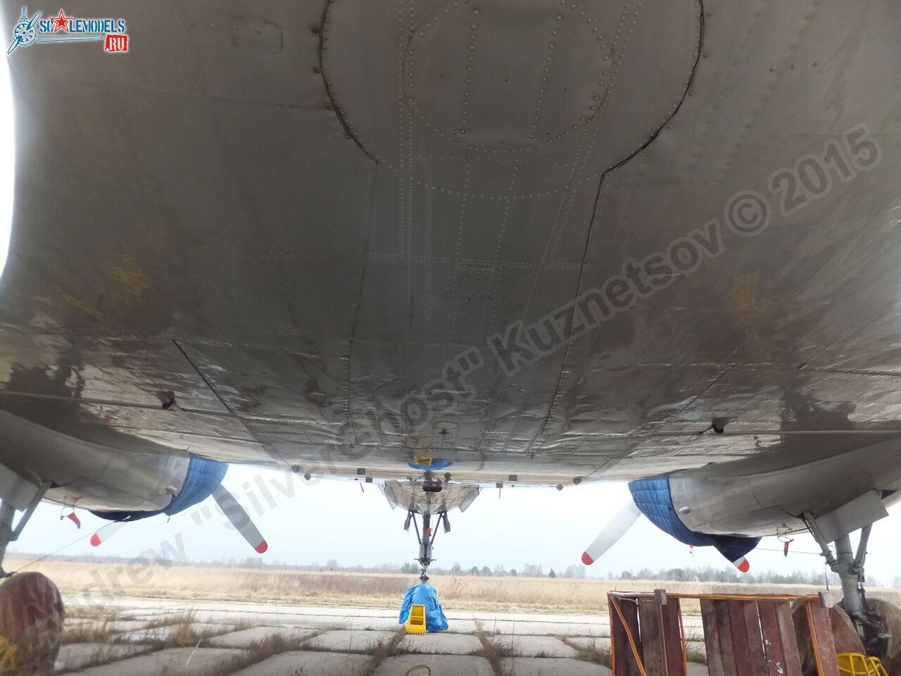 Il-14T_0173.jpg