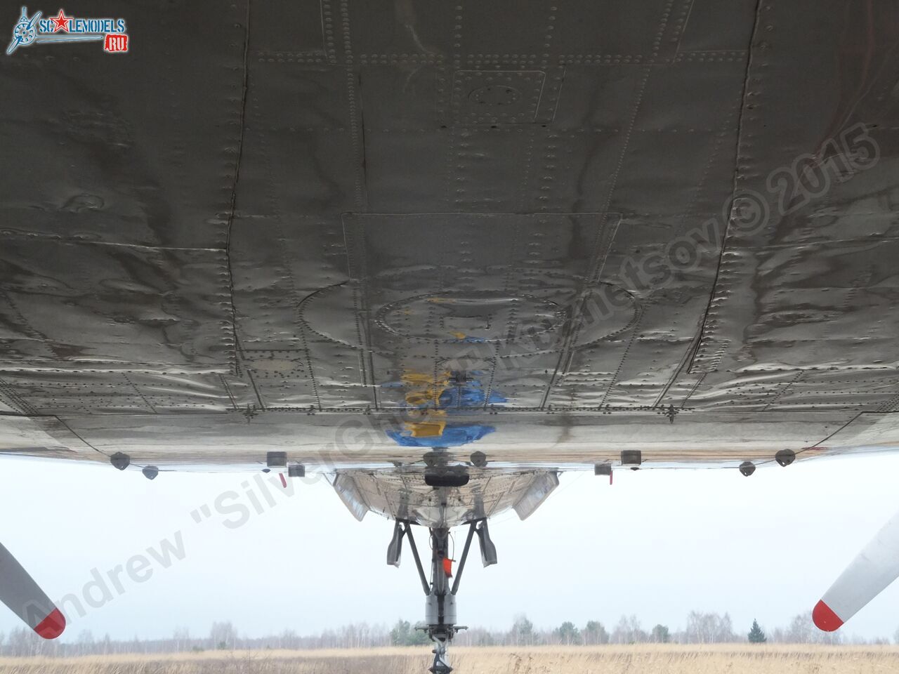 Il-14T_0175.jpg