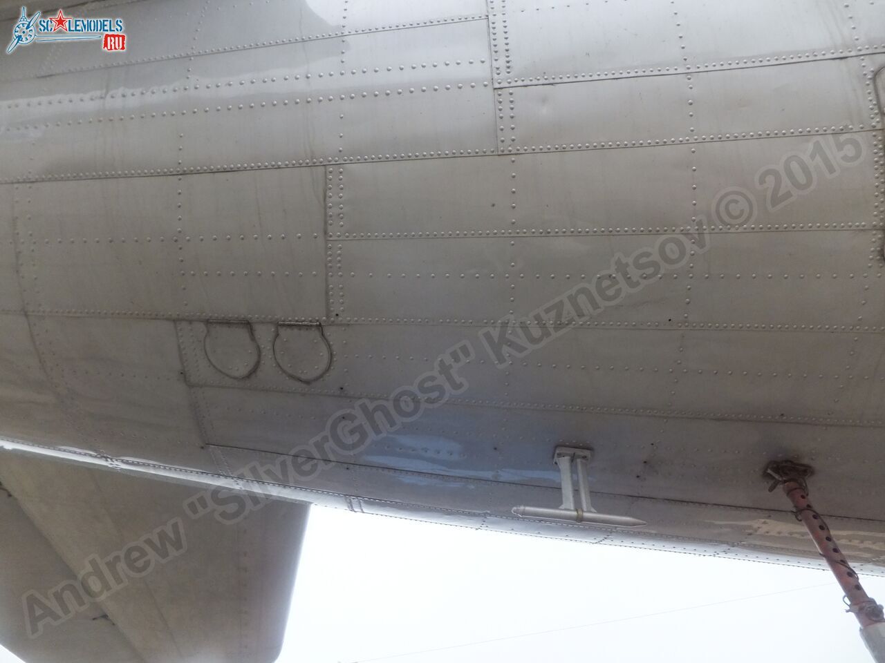 Il-14T_0181.jpg