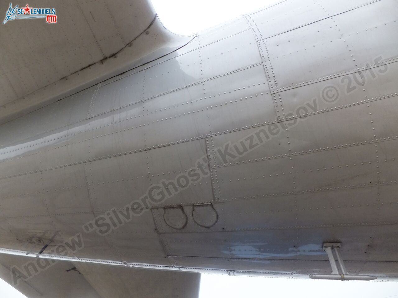 Il-14T_0183.jpg