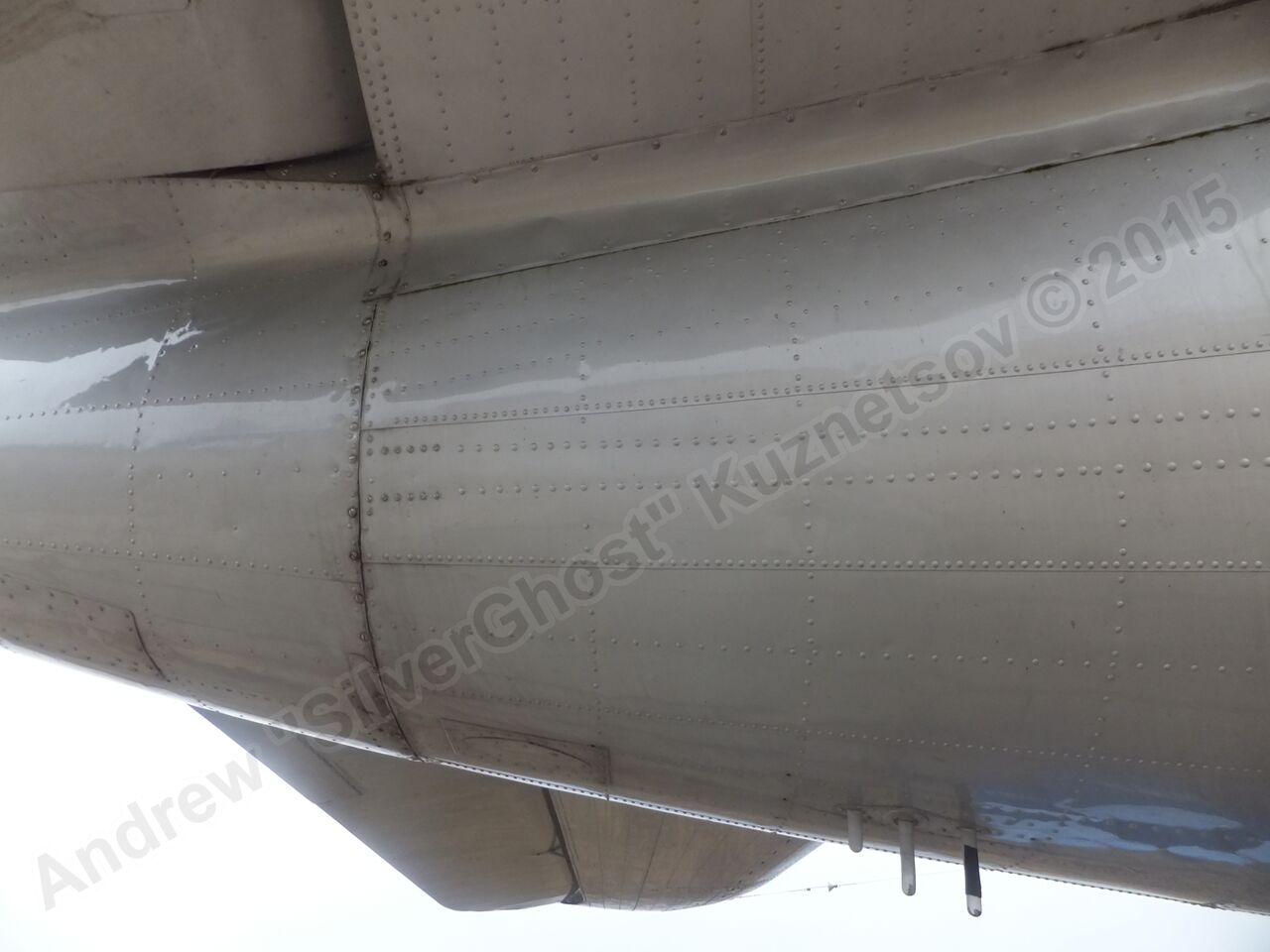 Il-14T_0187.jpg