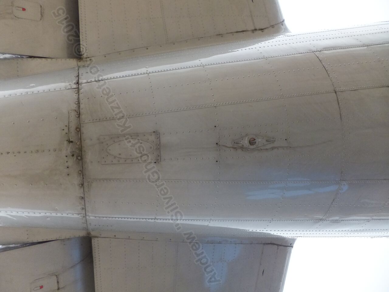 Il-14T_0194.jpg