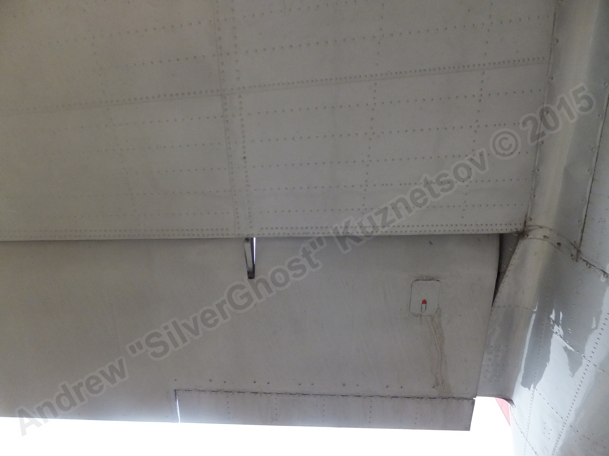Il-14T_0200.jpg