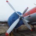 Il-14T_0318.jpg