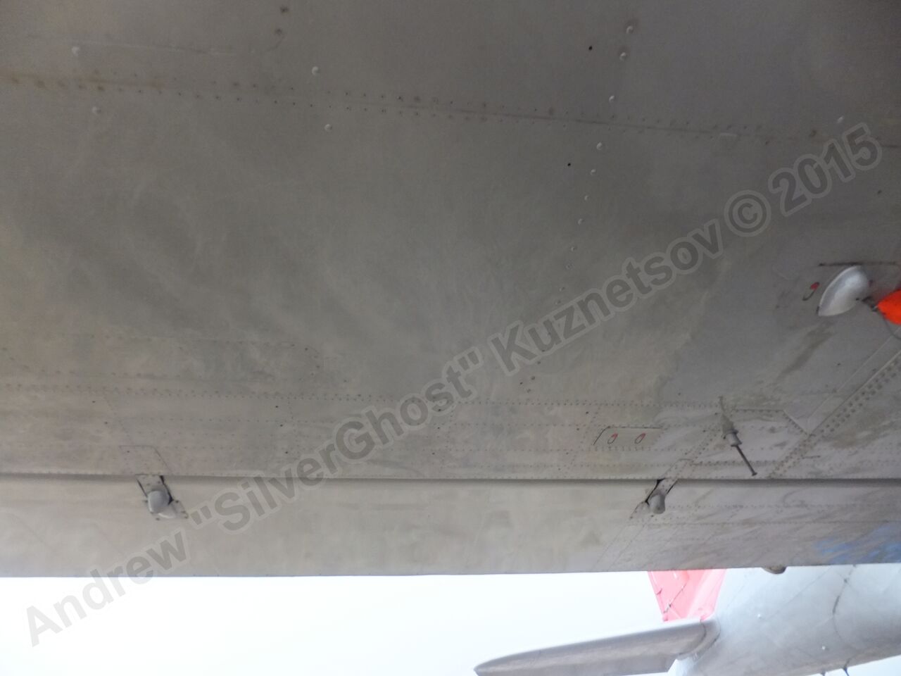 Il-14T_0379.jpg