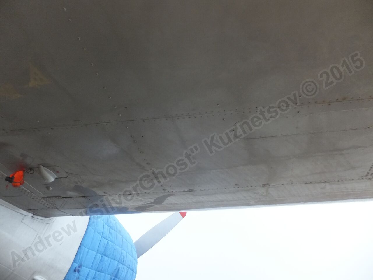 Il-14T_0387.jpg