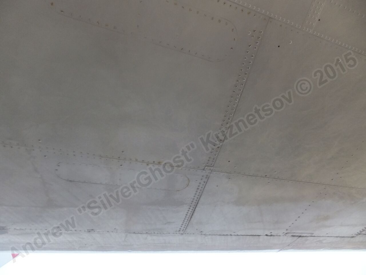 Il-14T_0388.jpg