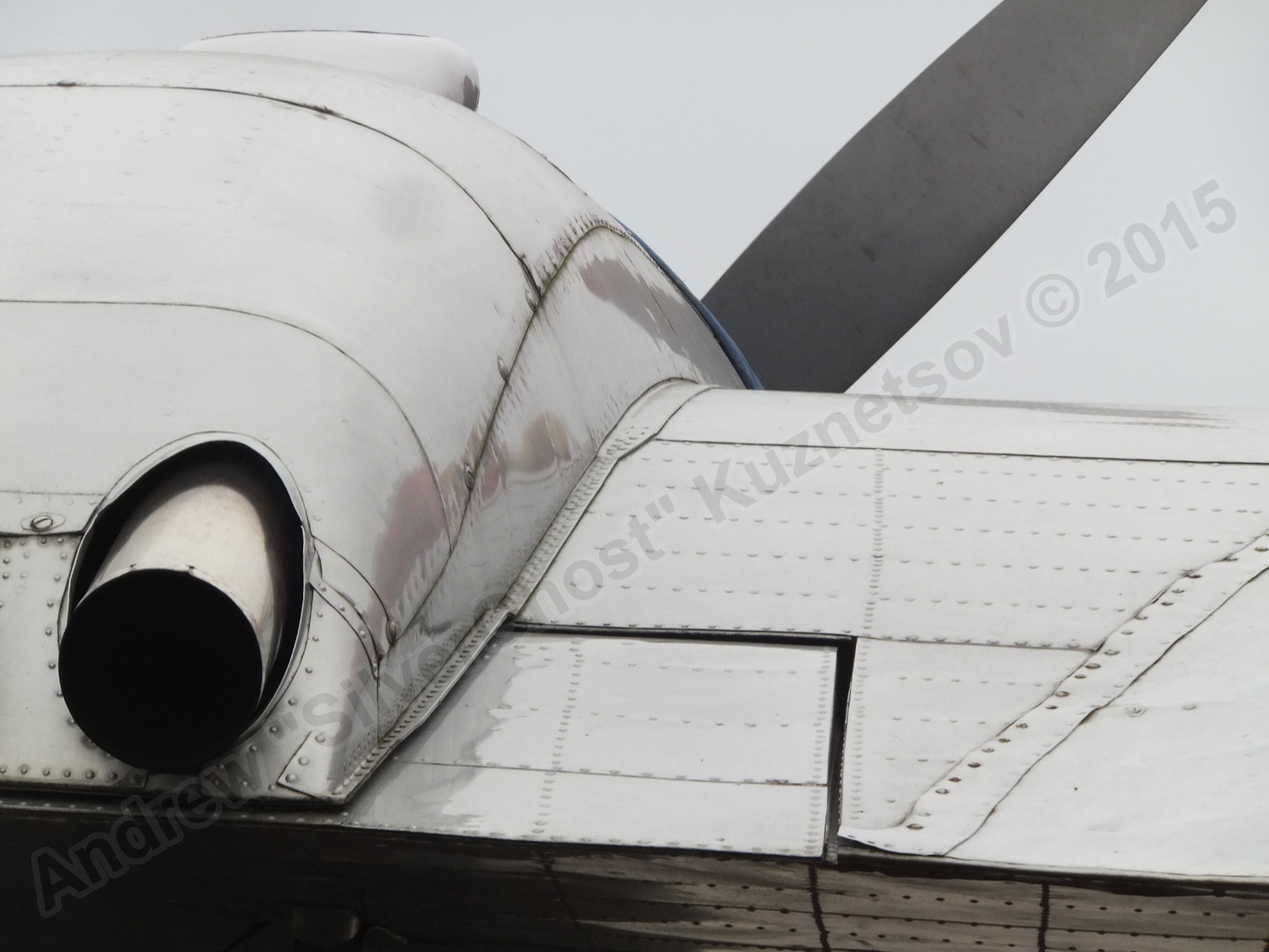 Il-14T_0479.jpg