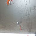 Il-14T_0548.jpg