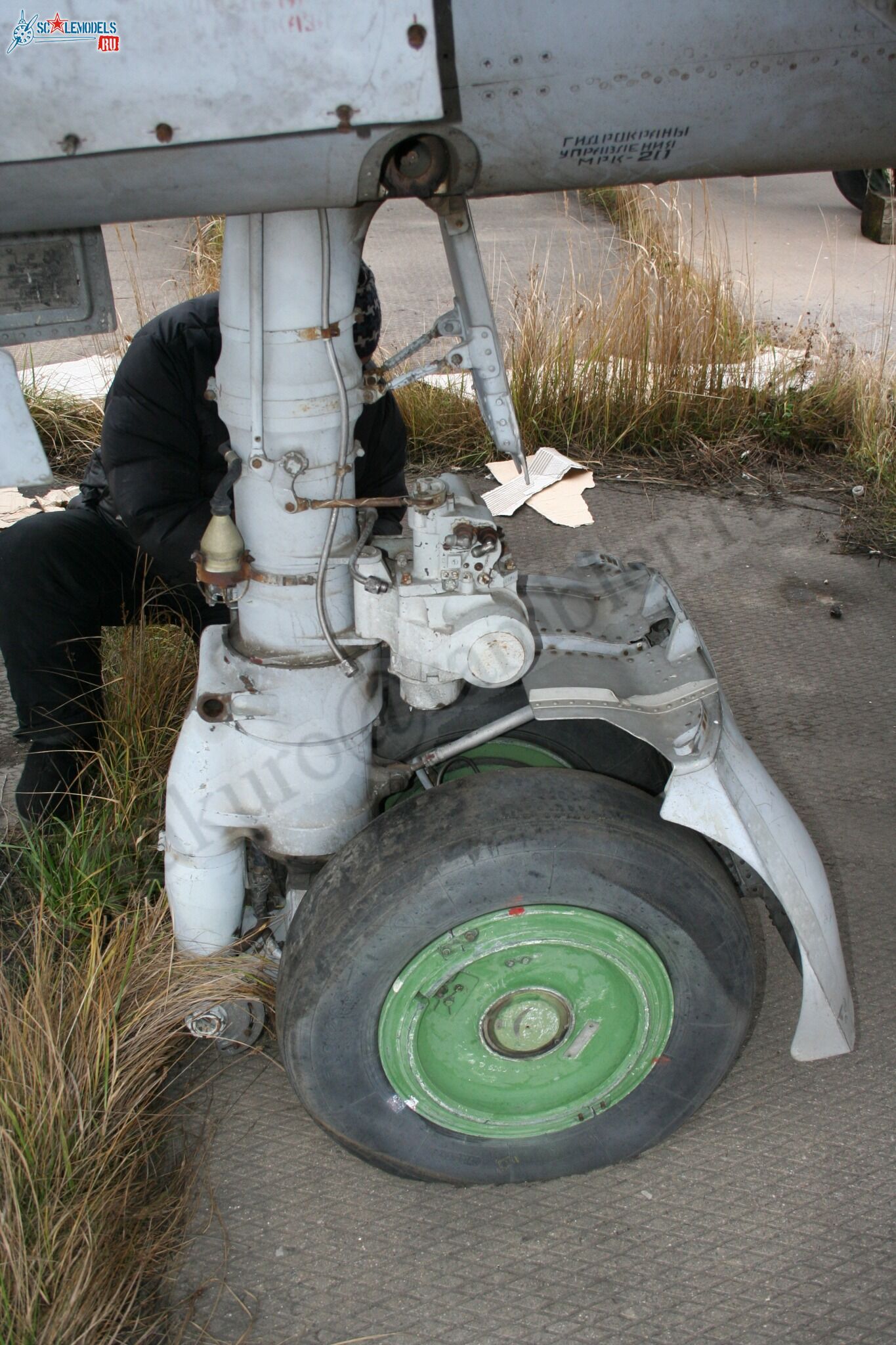 44.jpg
