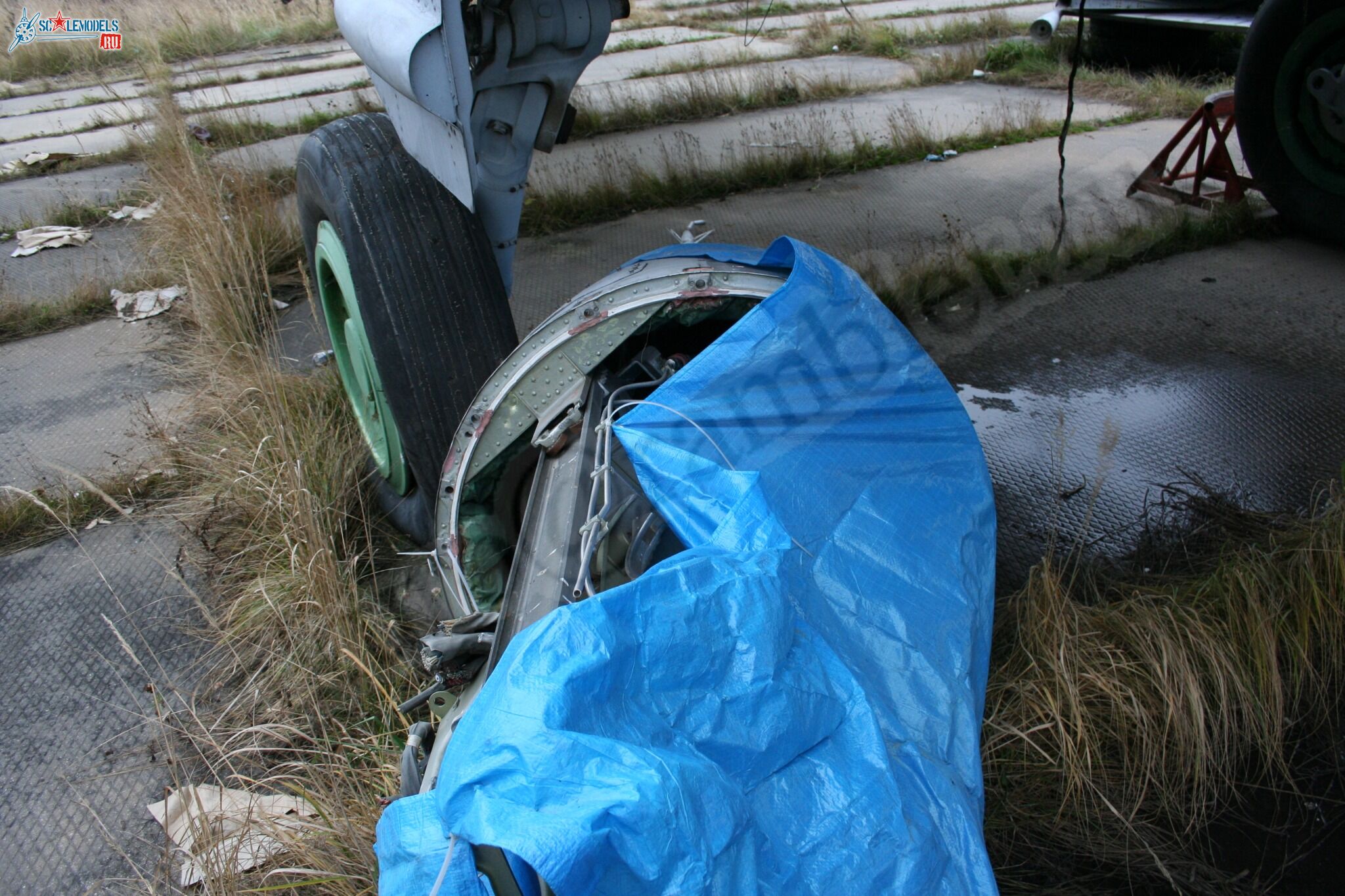 84.jpg