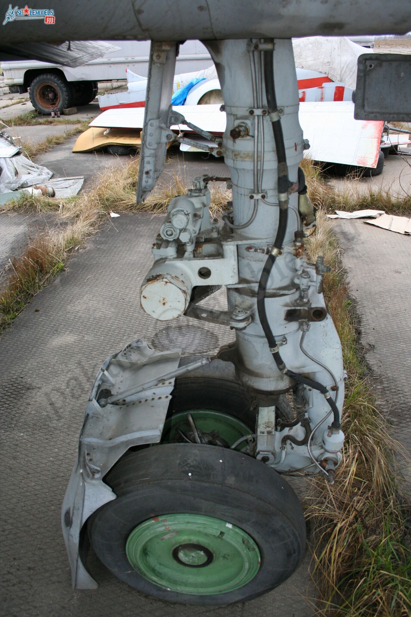 94.jpg