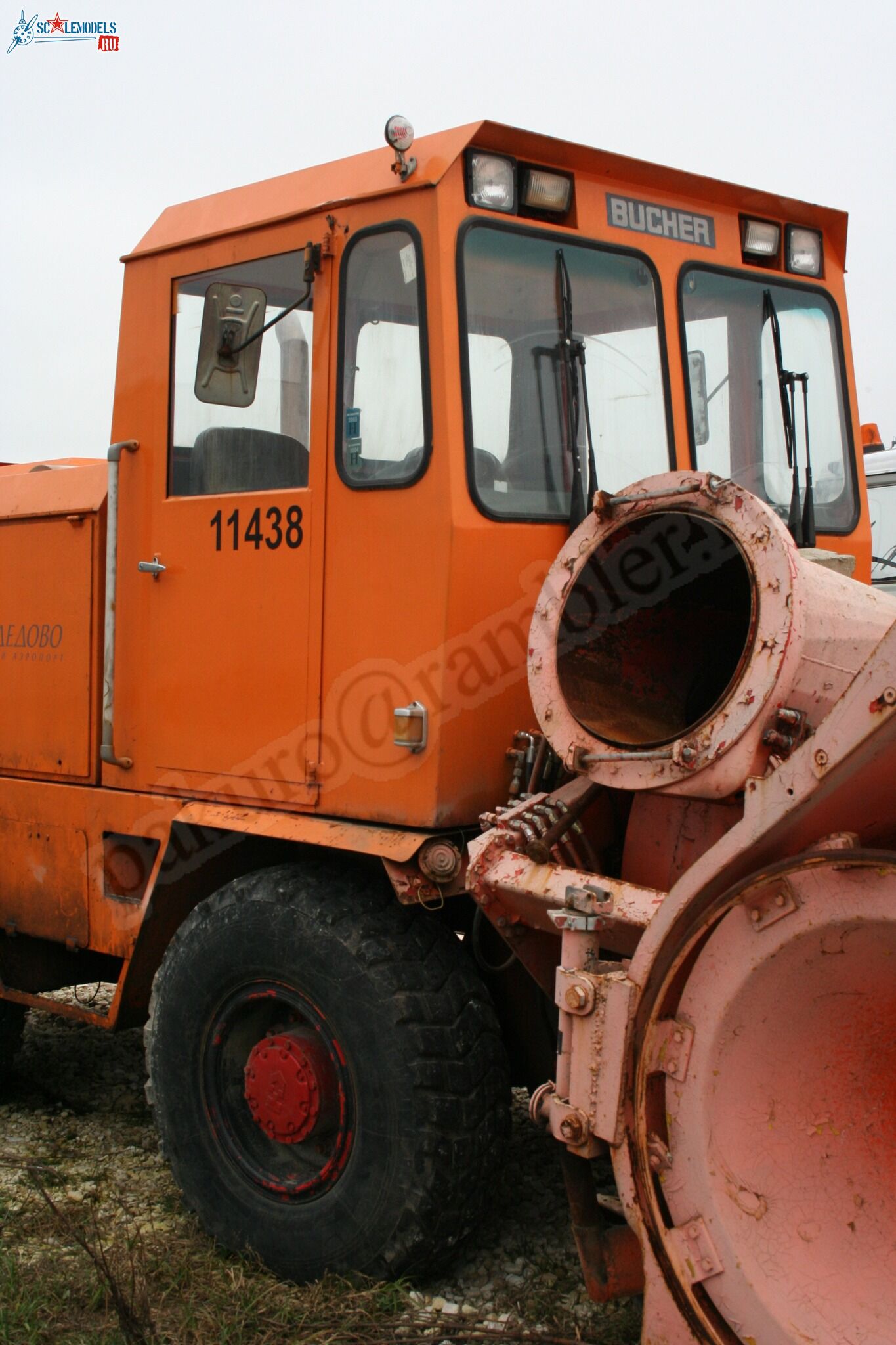 49.jpg