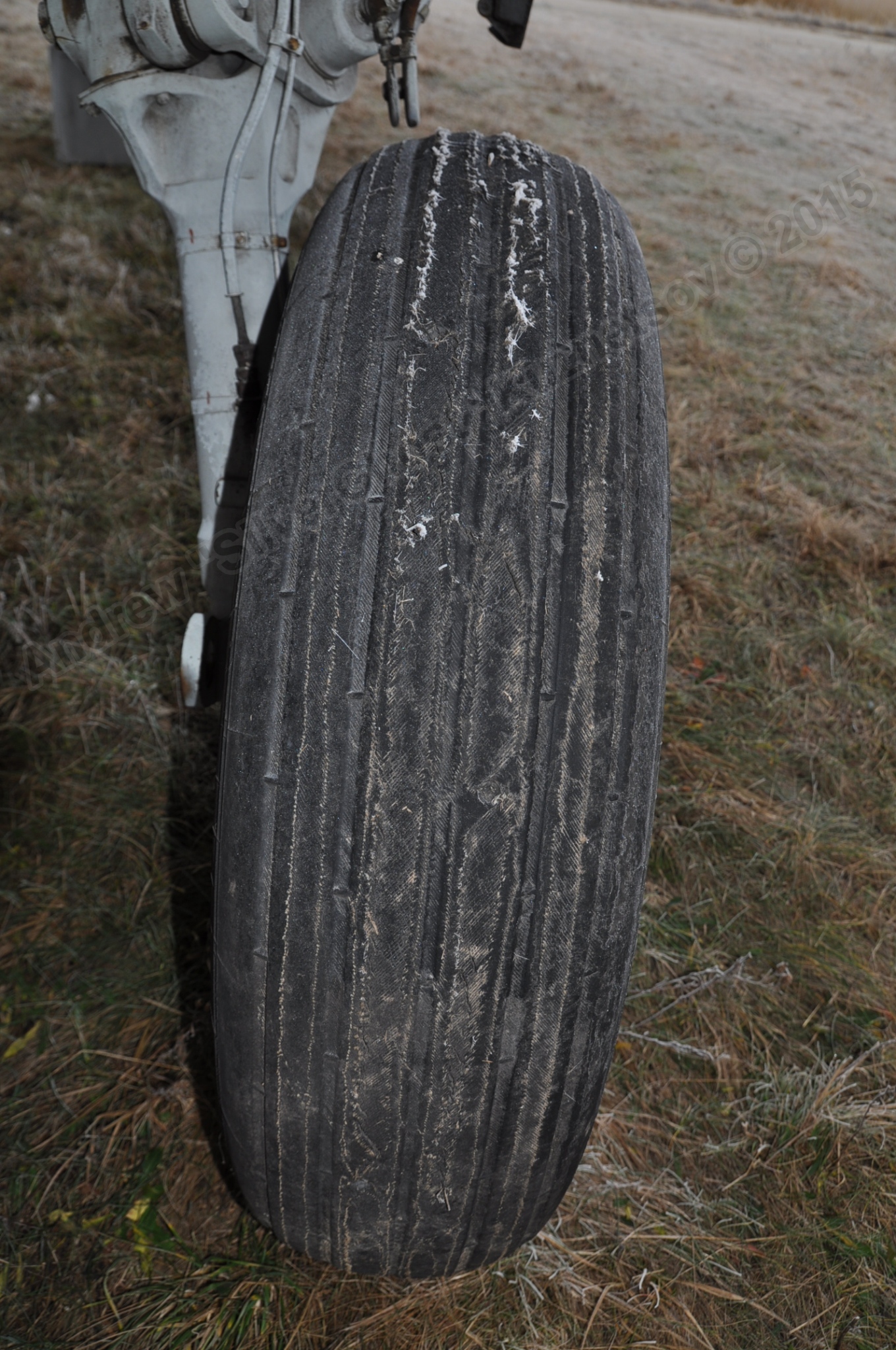 MiG-25PU_undercarriage_0206.jpg