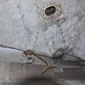 MiG-25PU_undercarriage_0264.jpg