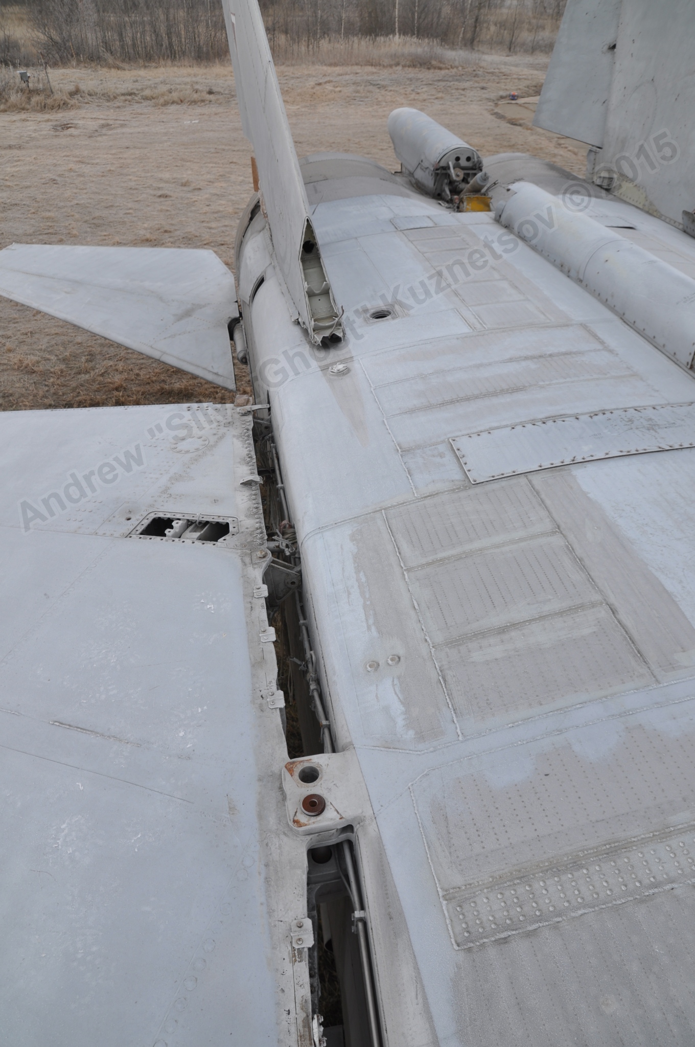 MiG-25PU_wing_0062.jpg