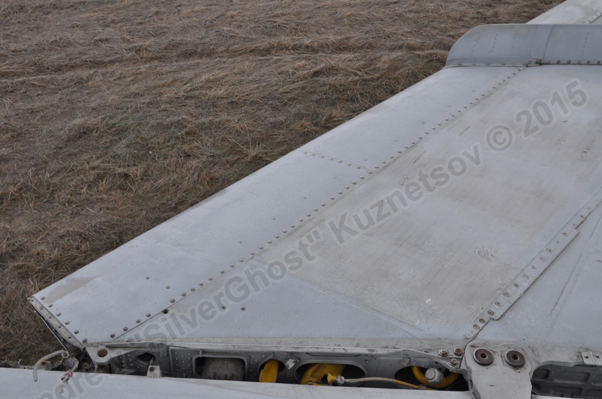 MiG-25PU_wing_0066.jpg