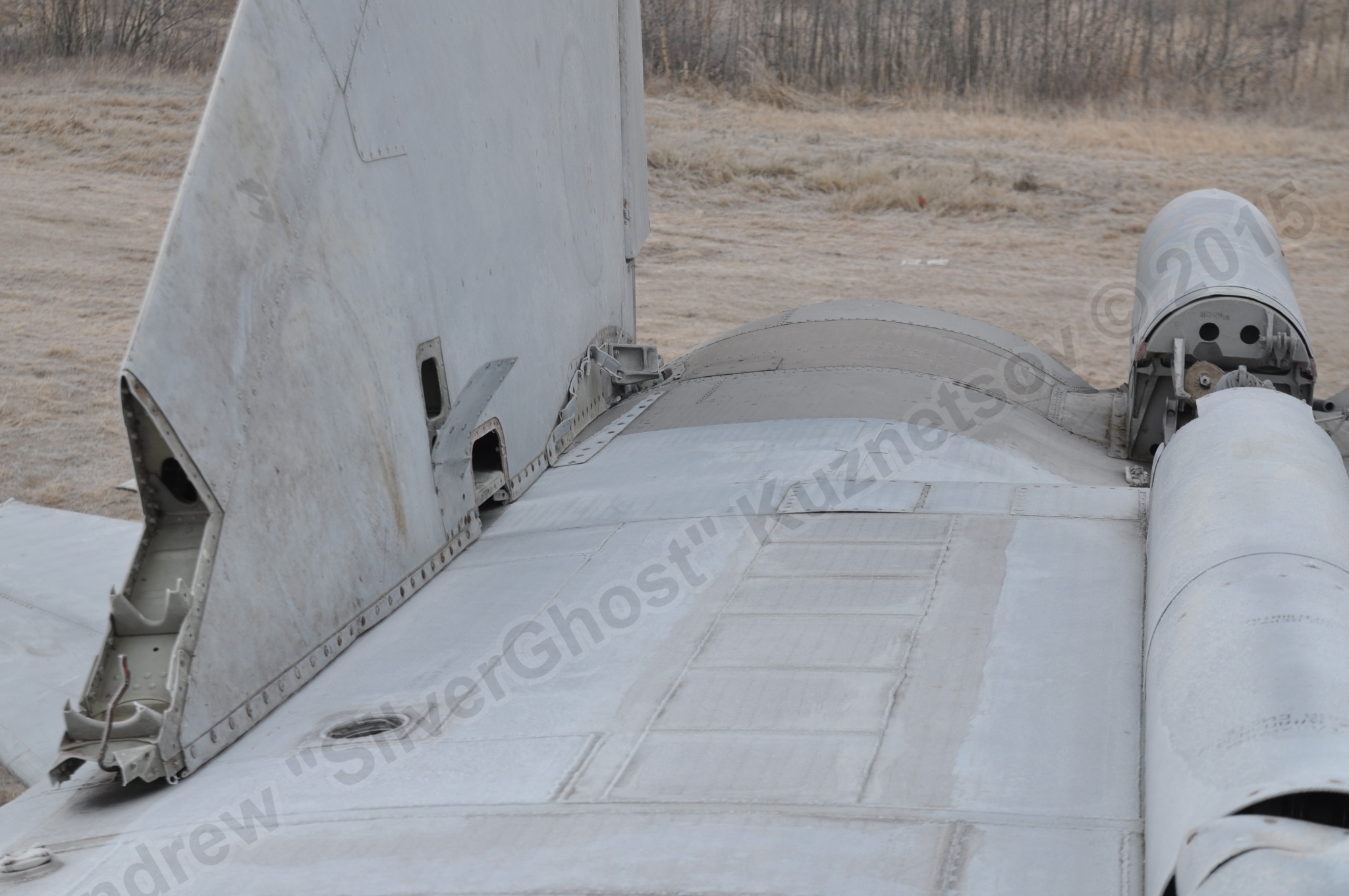 MiG-25PU_wing_0072.jpg