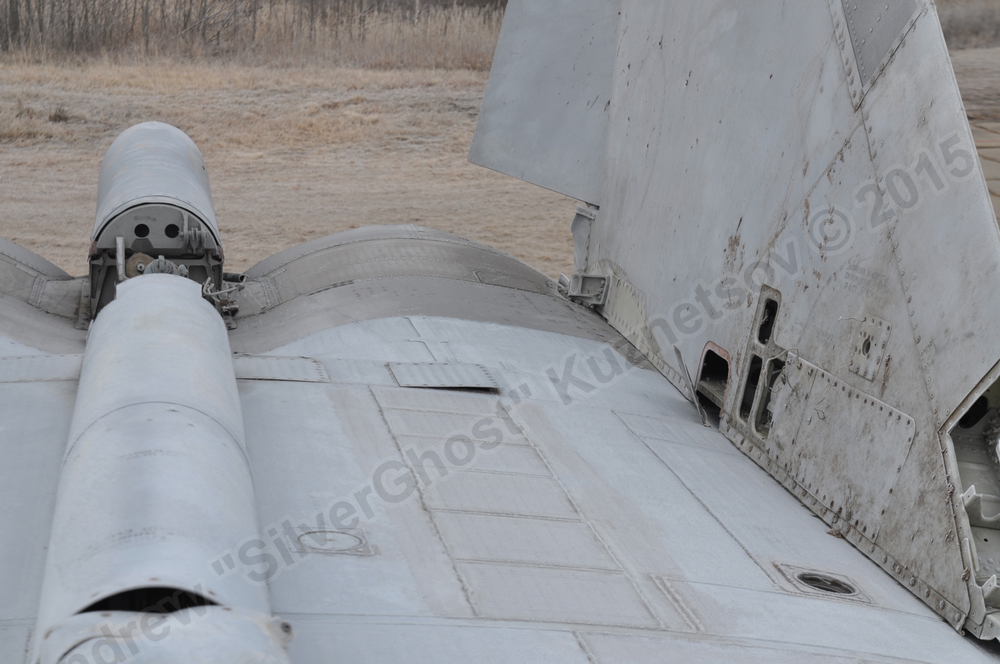 MiG-25PU_wing_0073.jpg