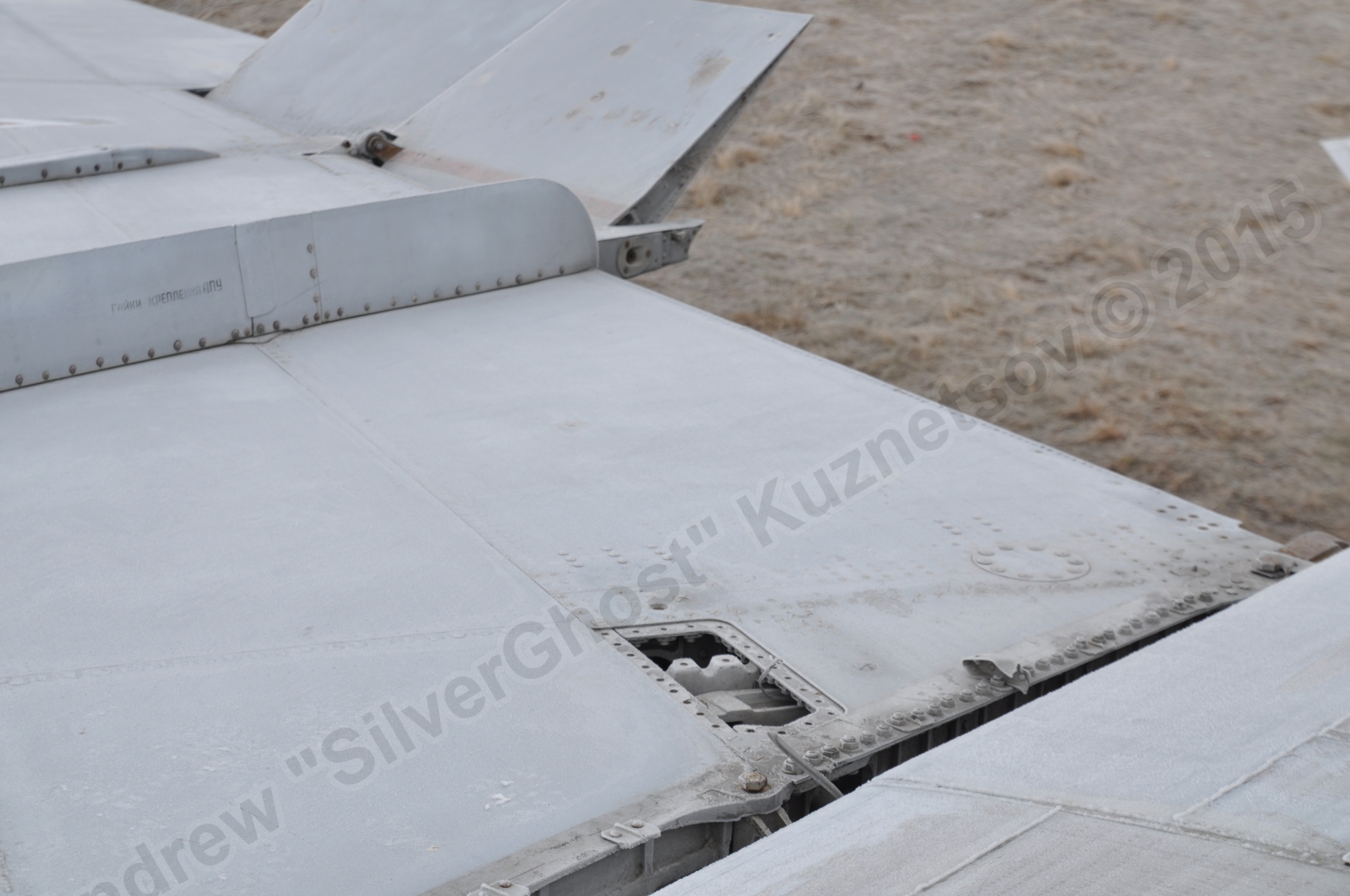 MiG-25PU_wing_0075.jpg