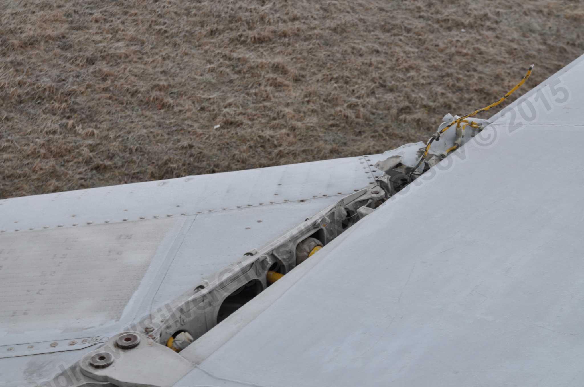 MiG-25PU_wing_0086.jpg