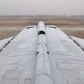 MiG-25PU_wing_0108.jpg