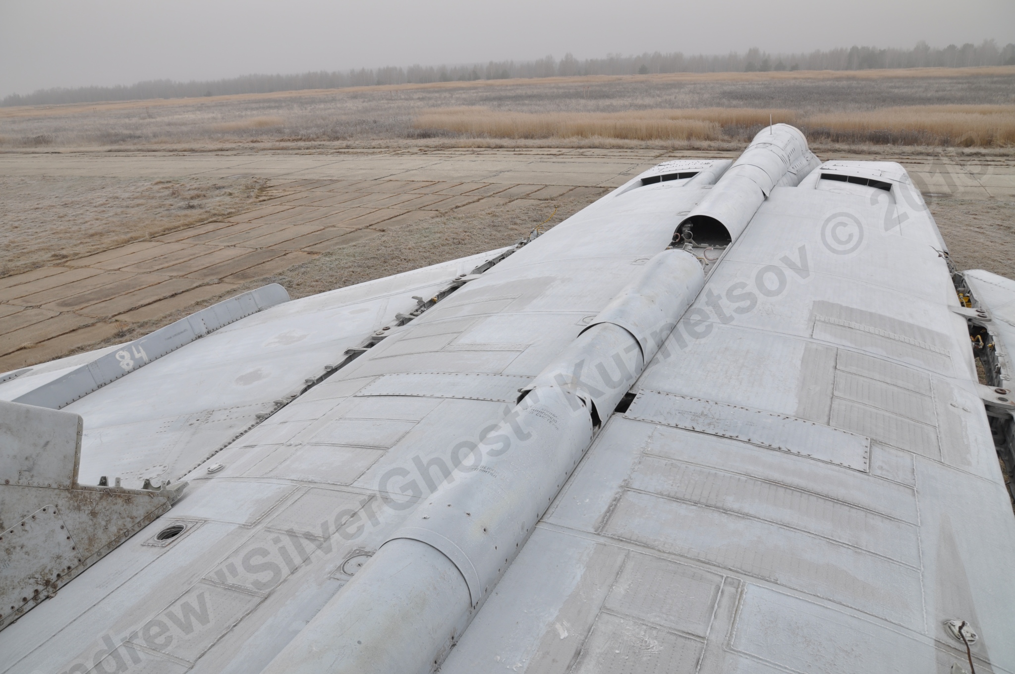 MiG-25PU_wing_0110.jpg