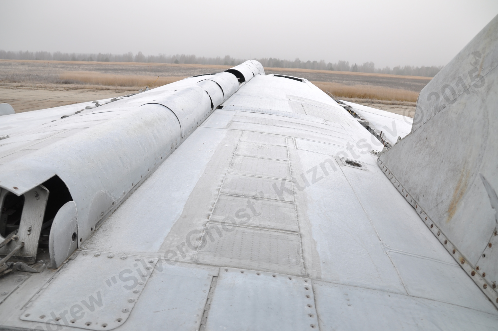 MiG-25PU_wing_0125.jpg