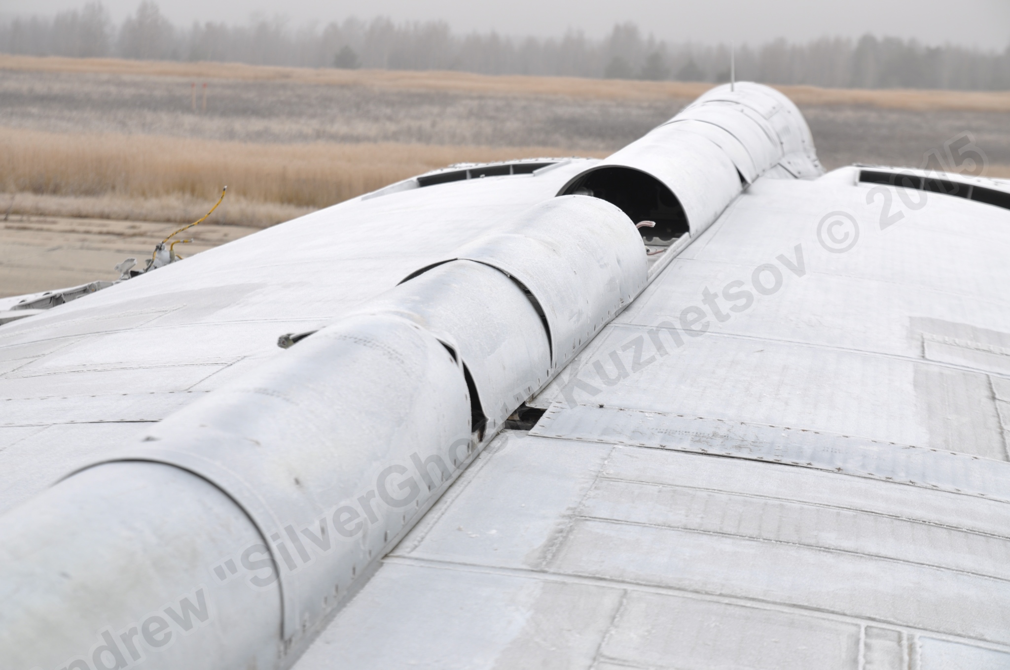 MiG-25PU_wing_0129.jpg