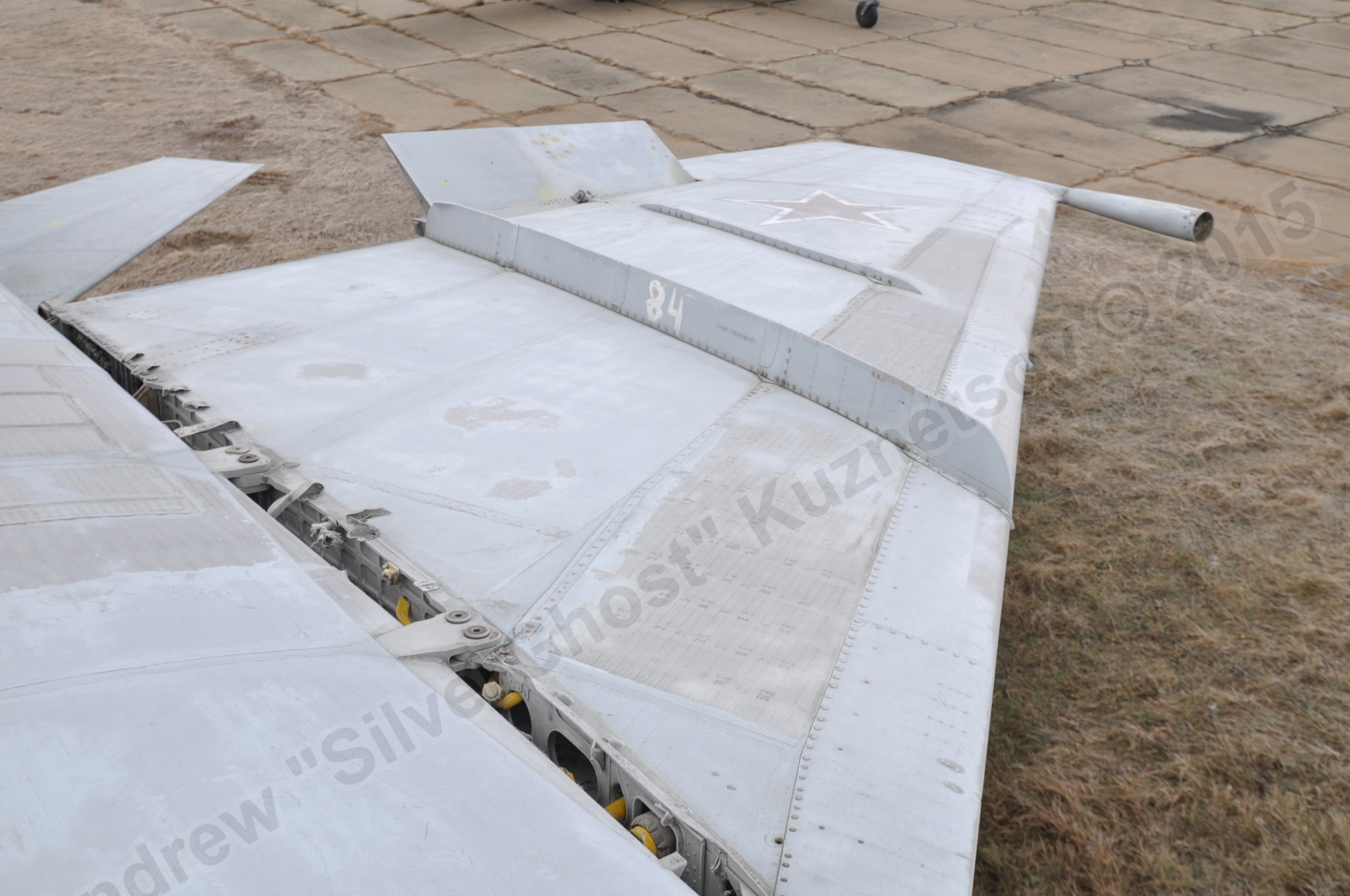 MiG-25PU_wing_0210.jpg