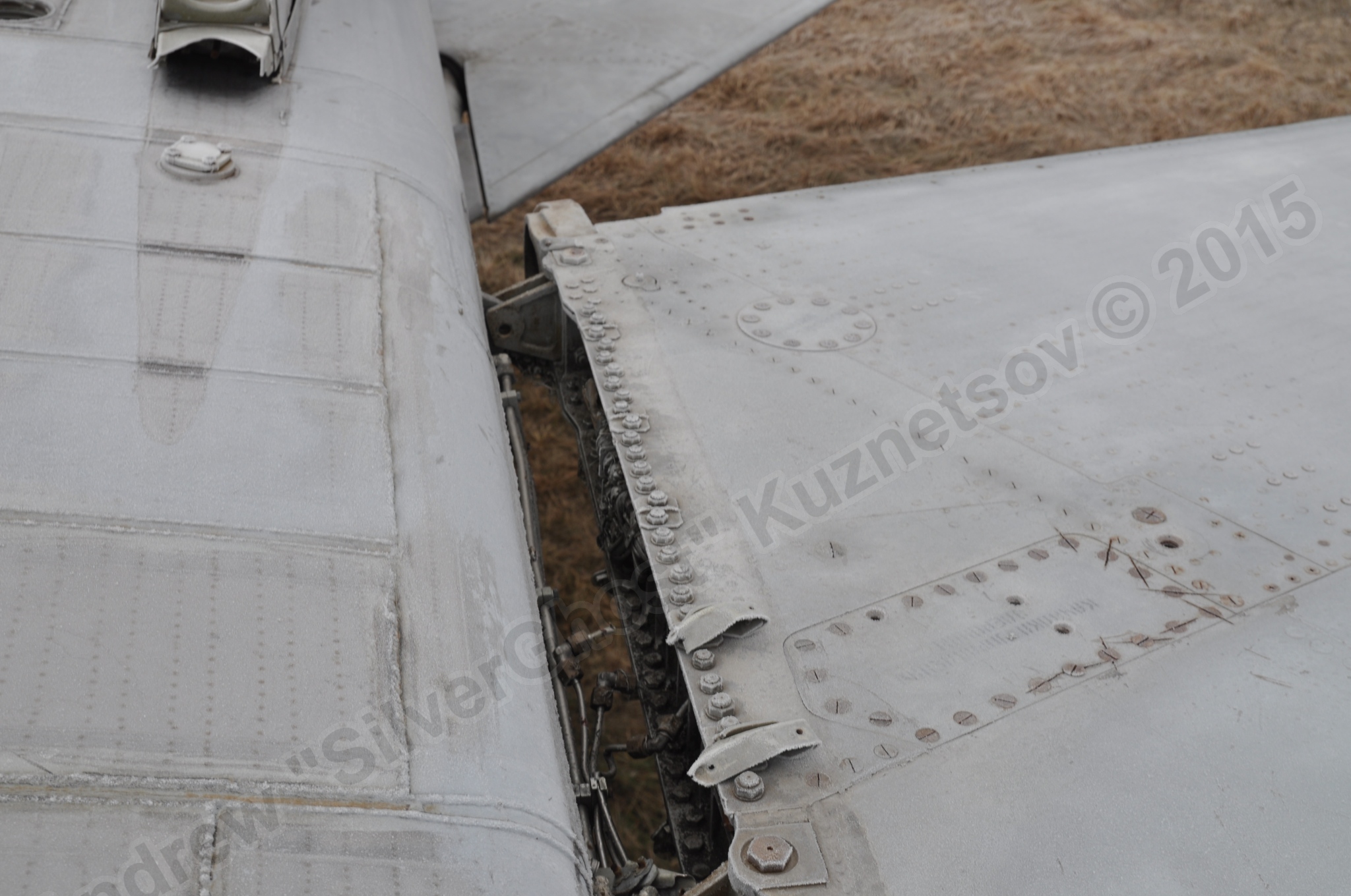 MiG-25PU_wing_0219.jpg