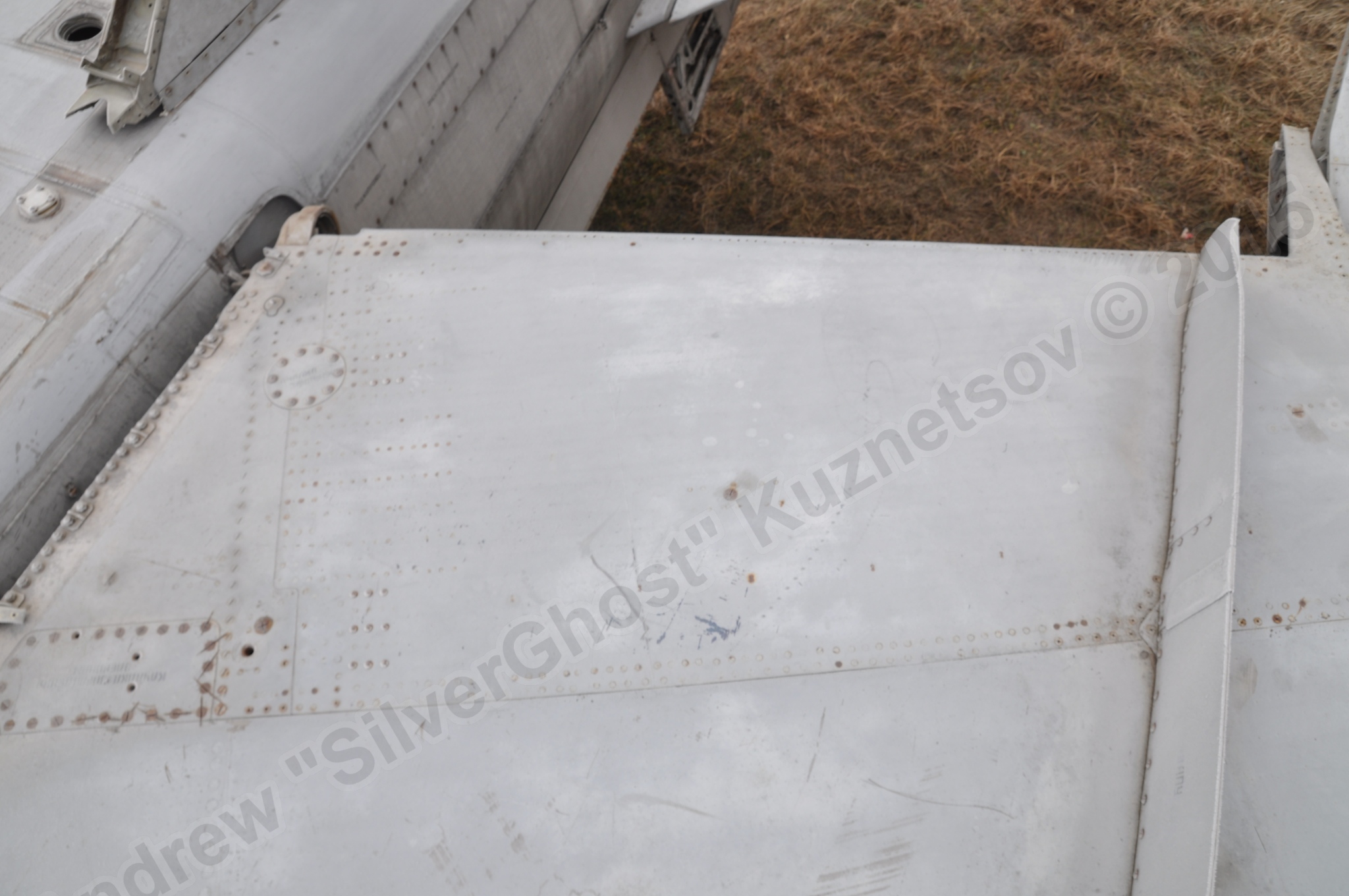 MiG-25PU_wing_0233.jpg
